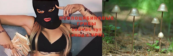 гидра Абдулино